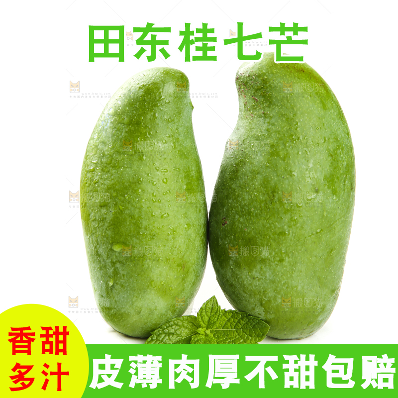 白底上的桂七芒