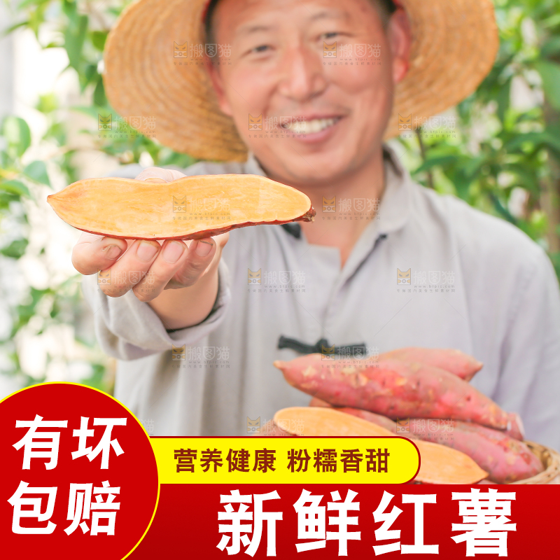 农民手里端着一盘红心红薯