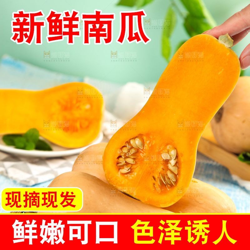 蓝底上放着一盘奶油南瓜