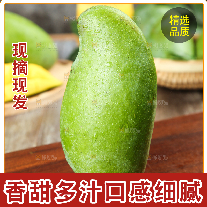 木板上放着桂七芒