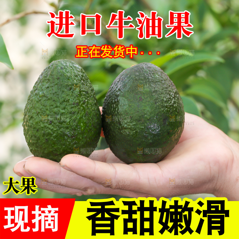 手里拿着牛油果