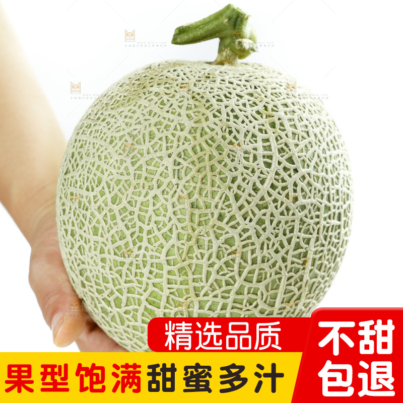 手拿玫珑瓜