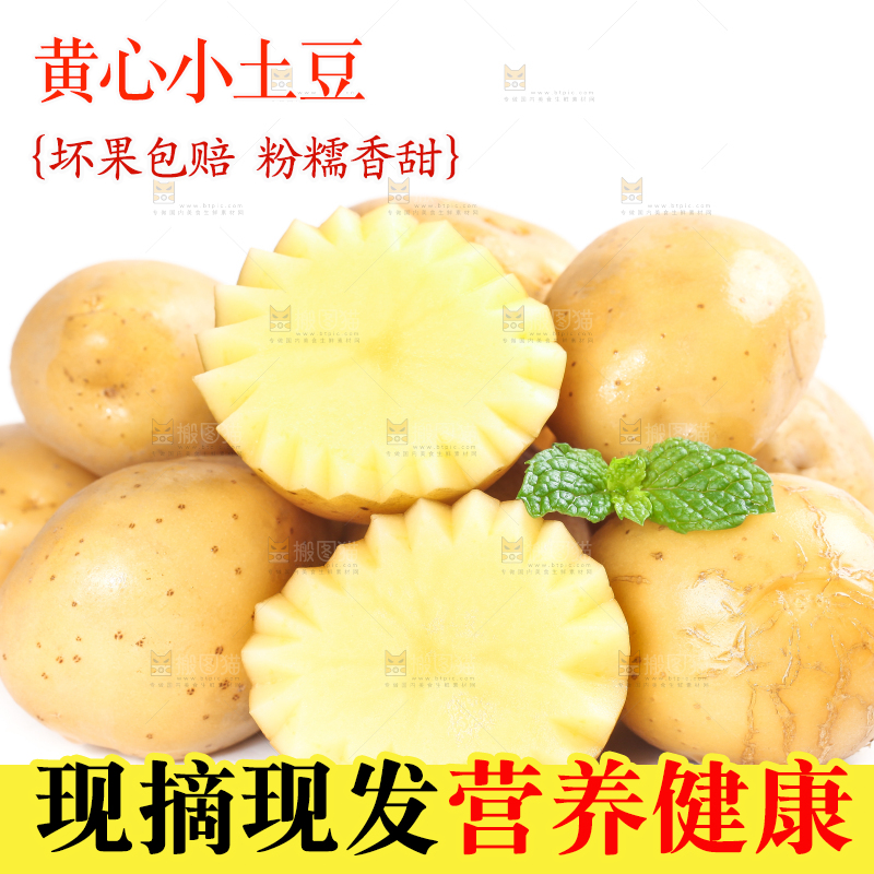 白底上放着切开的富硒小土豆