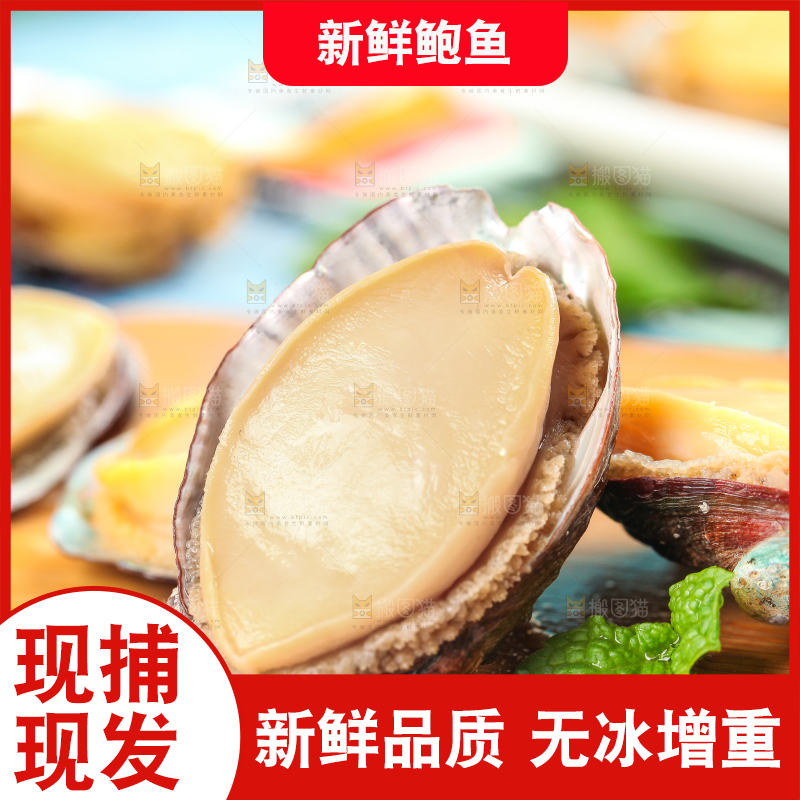 木板上放着剥开的鲜鲍鱼