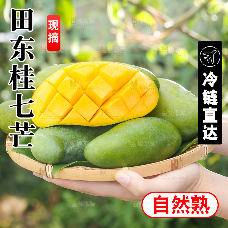 手端一盘桂七芒