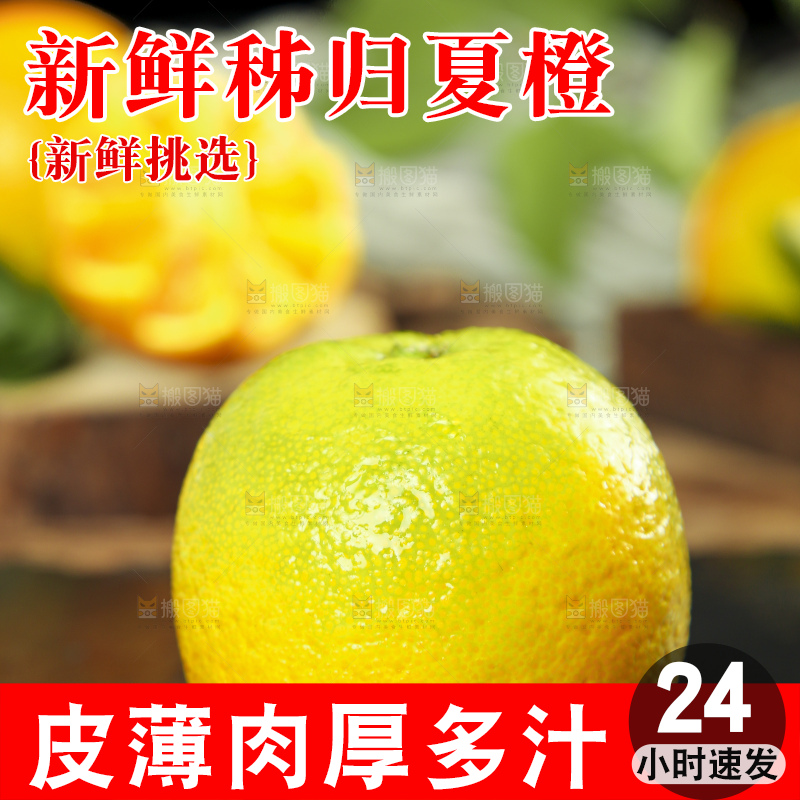 黑石板上的秭归夏橙