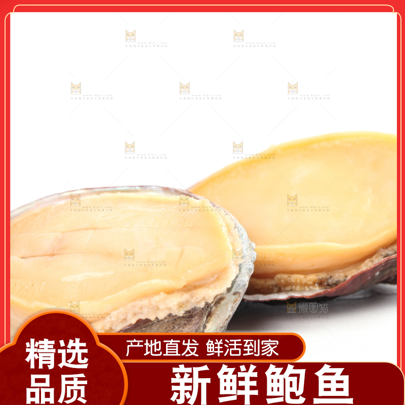 白底上放着鲍鱼