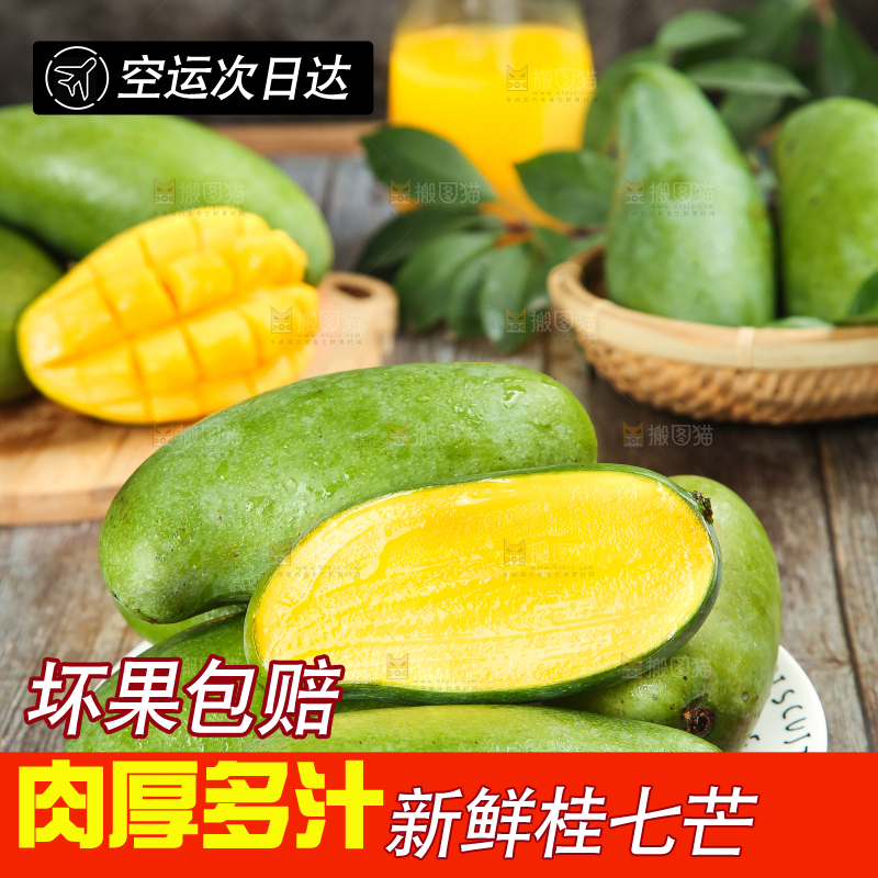 木底上放着一盘桂七芒