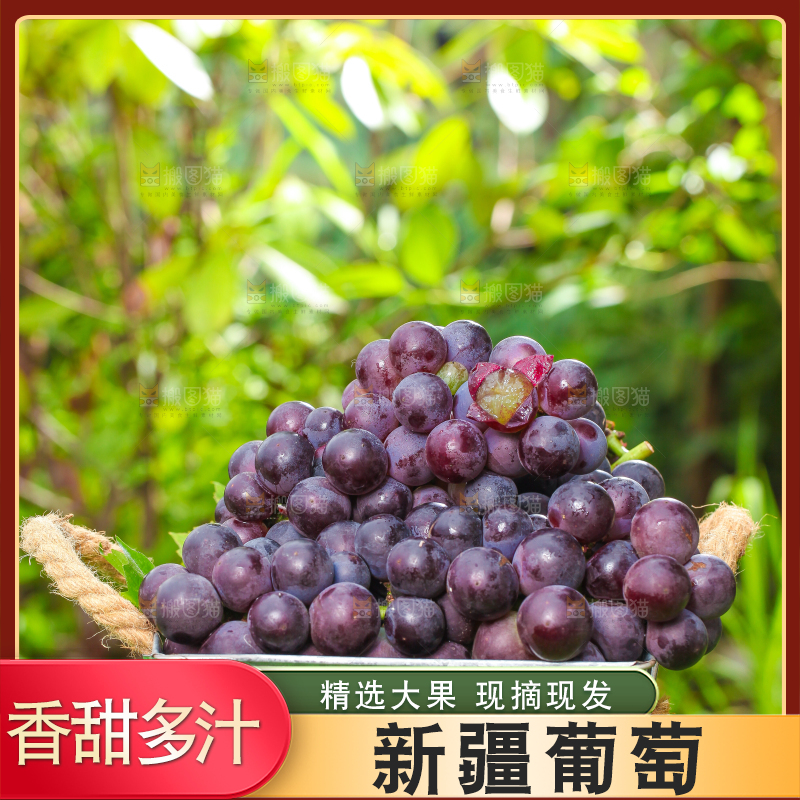 草地上放着一筐巨峰葡萄