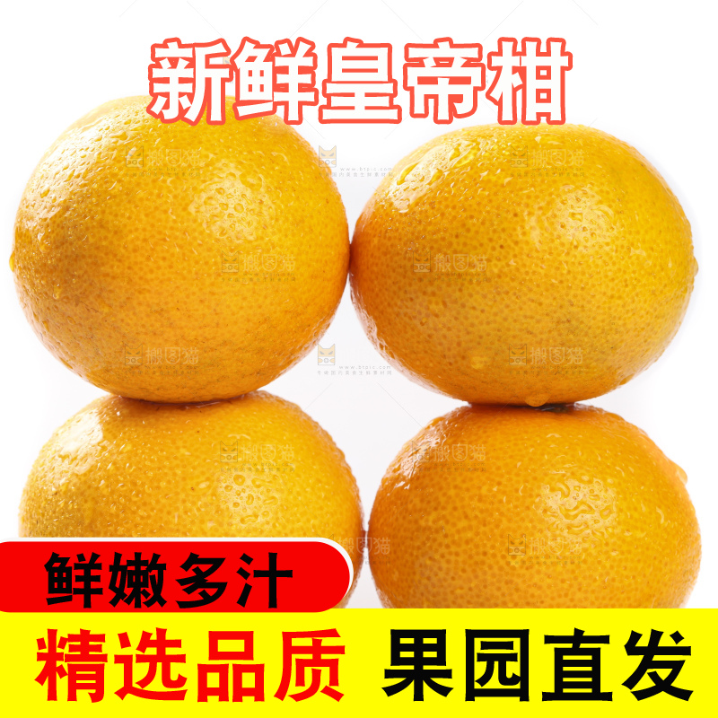 白底上的广西皇帝柑