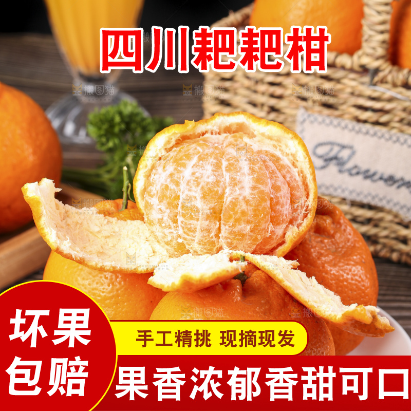 盘子里的春见果肉