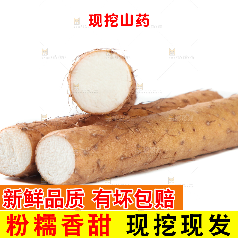 白底上摆放着山药