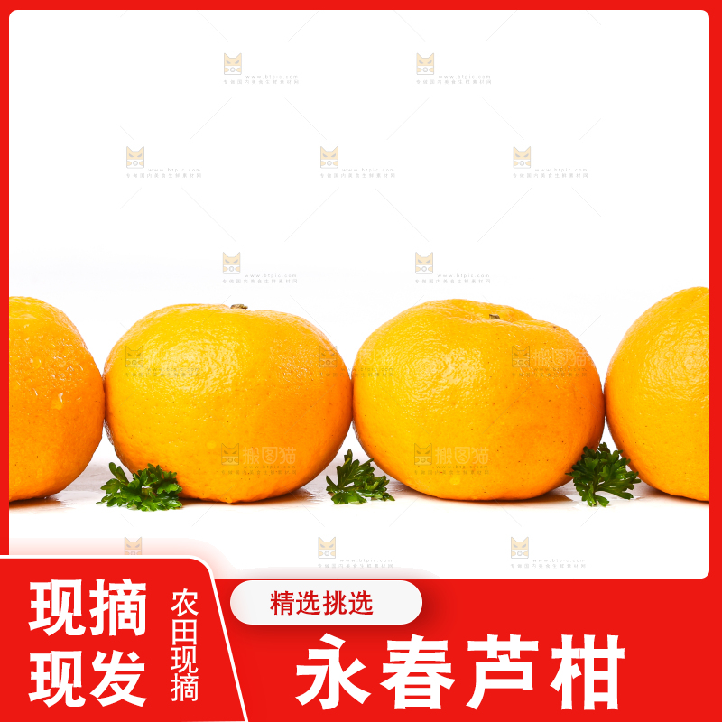 白底上放着芦柑