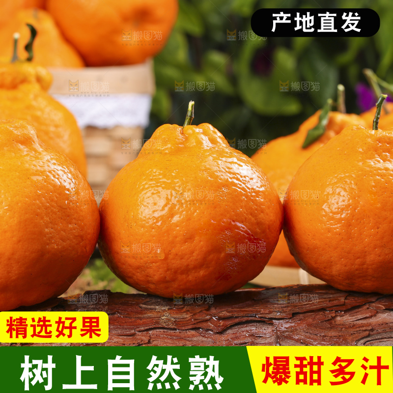 草地上摆放着耙耙柑