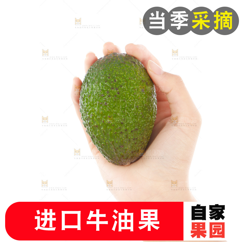 手里拿着牛油果