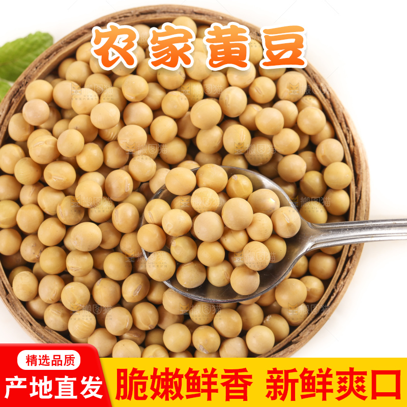 白底上放着东北黄豆