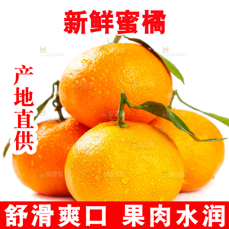 白底上摆放着蜜橘