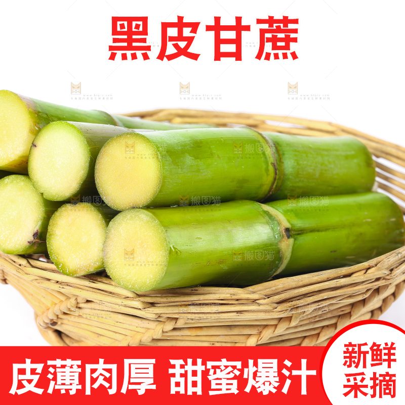 木底上放着一筐陶山青皮甘蔗