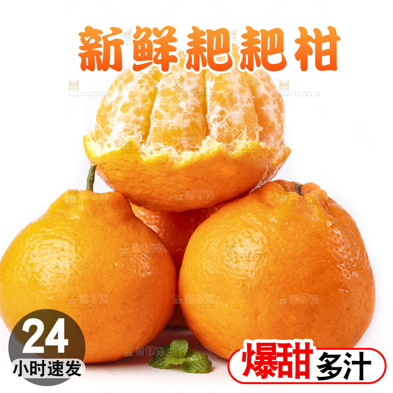 白底上的春见耙耙柑