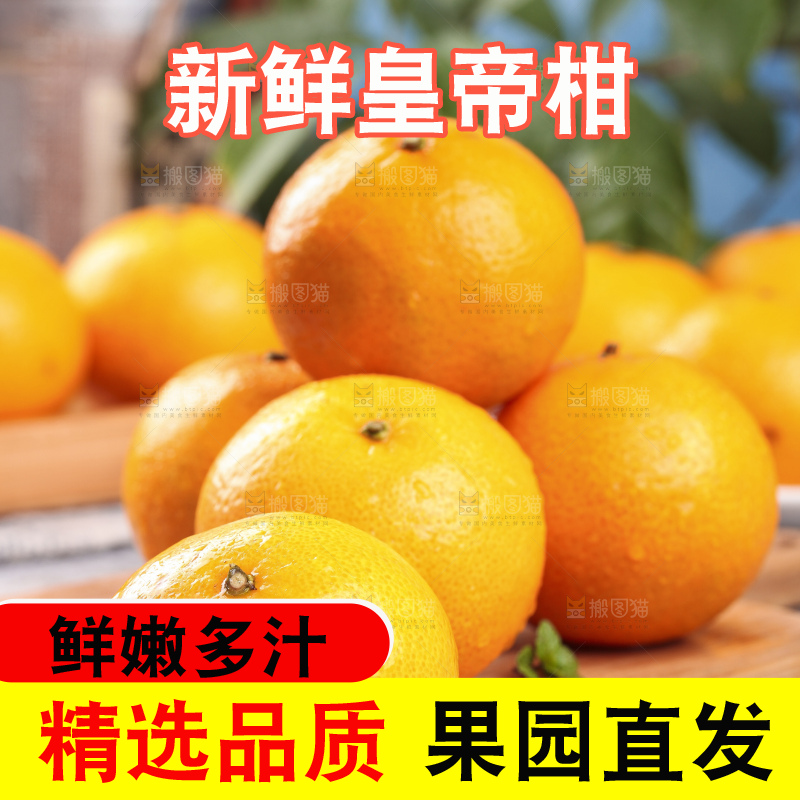 木板上的皇帝贡柑
