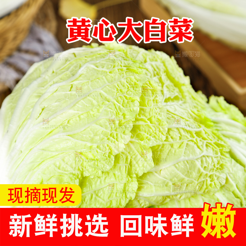 黑石板上的大白菜
