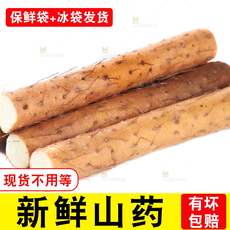 白底上摆放着山药