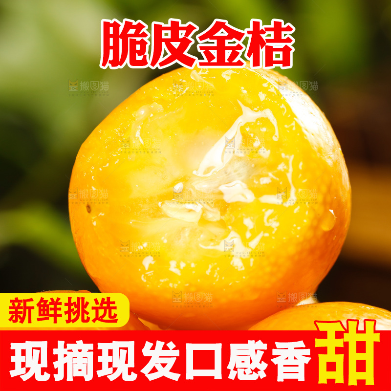 黑底上放着小金桔