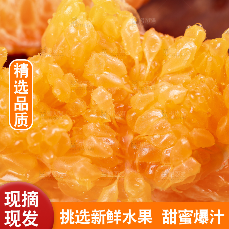 深底上放着四川春见