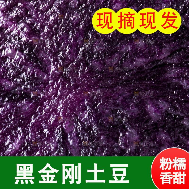 白底上摆放着紫色土豆