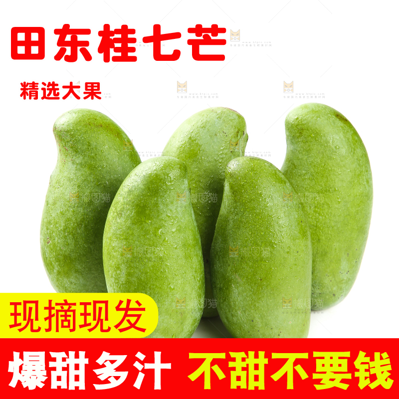 白底上的桂七芒