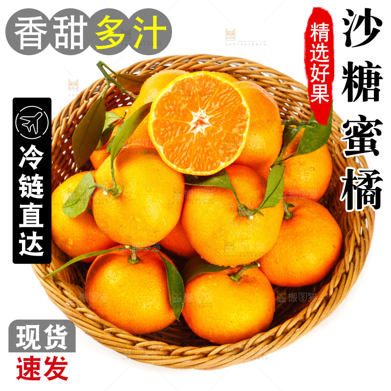 白底上摆放着蜜橘