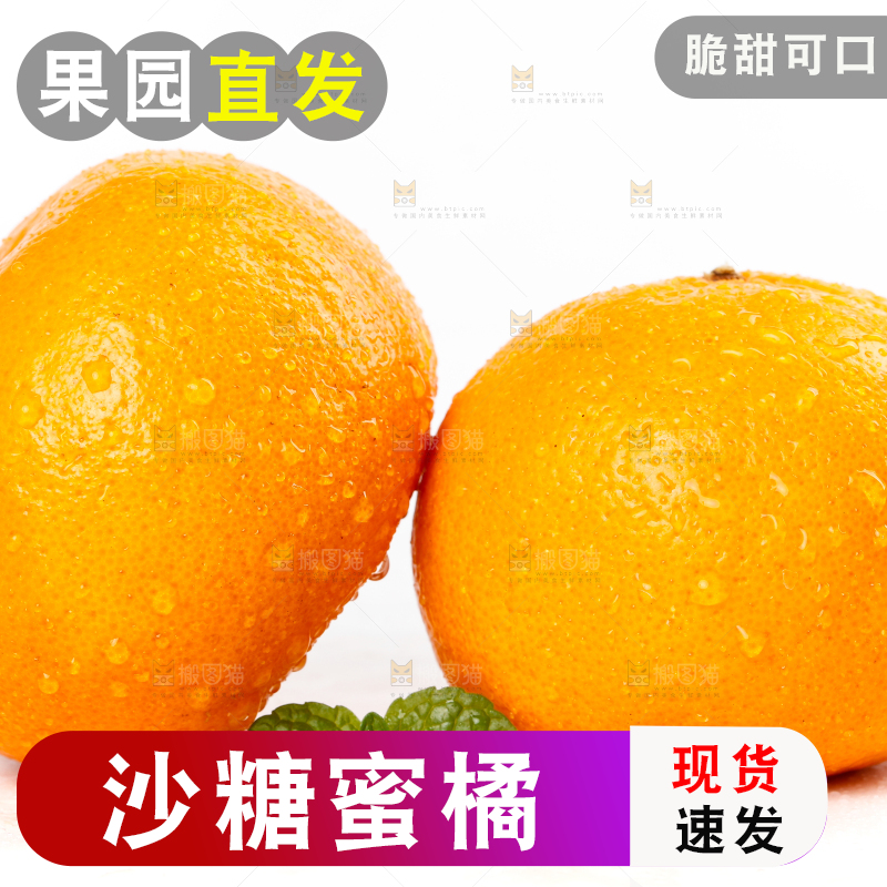 白底上摆放着蜜橘