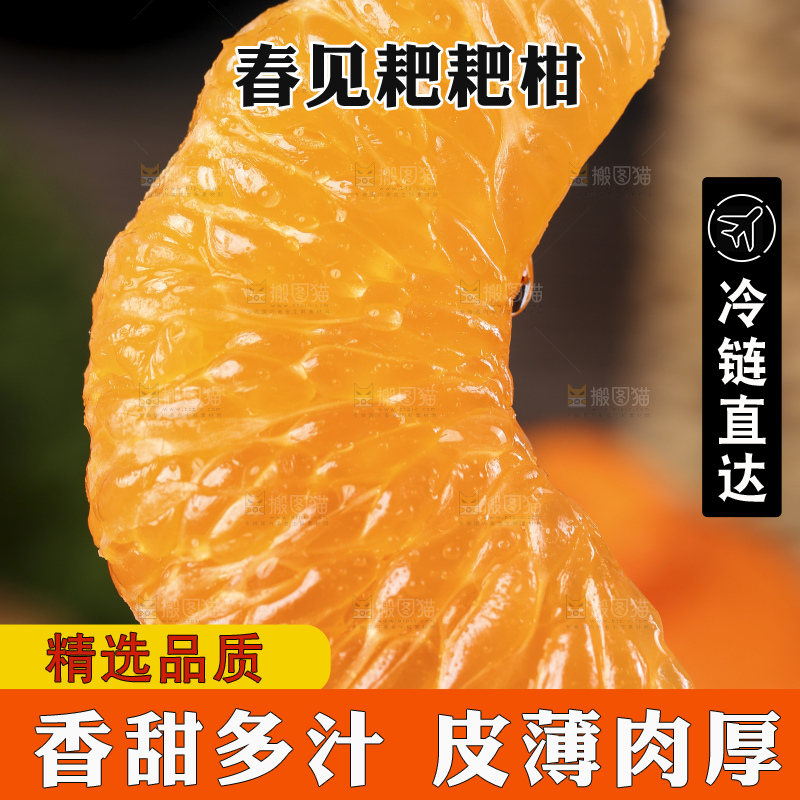 深底上的新鲜耙耙柑