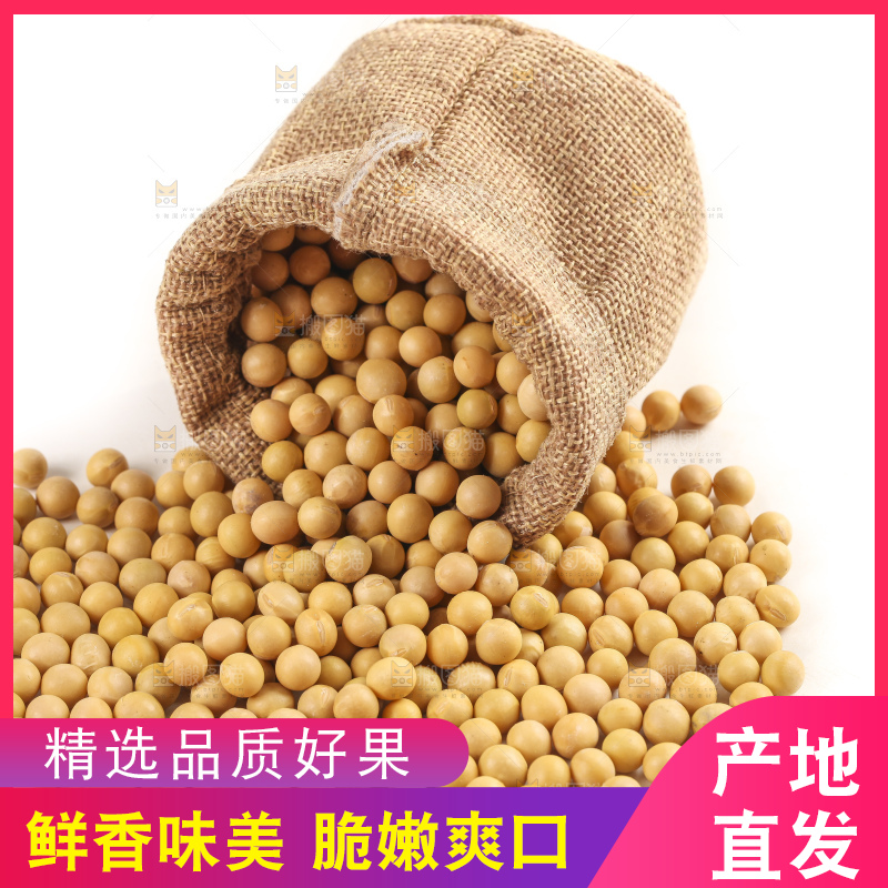 袋子里的黄豆粒