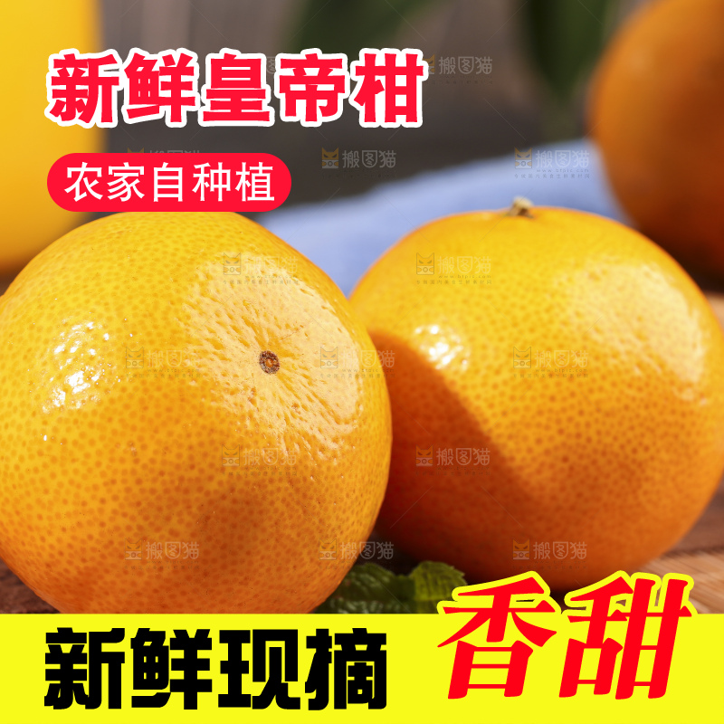 木底上的皇帝柑