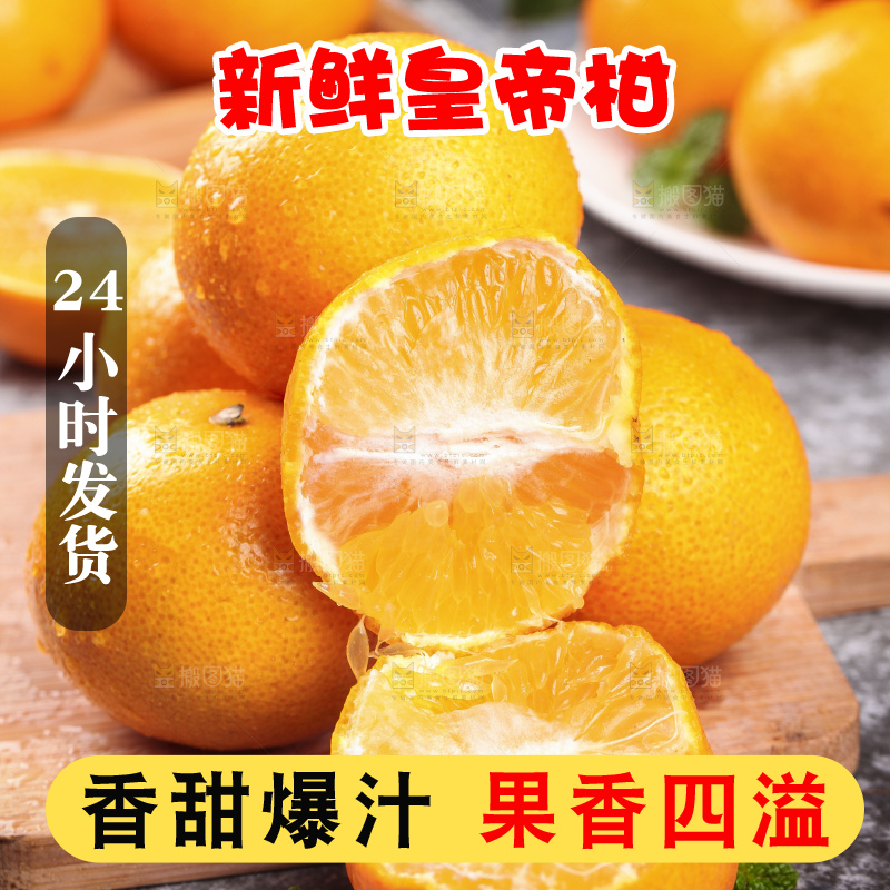 木板上的皇帝贡柑