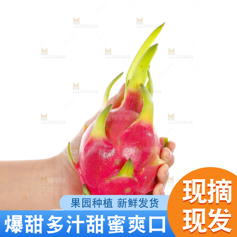 手里拿着火龙果