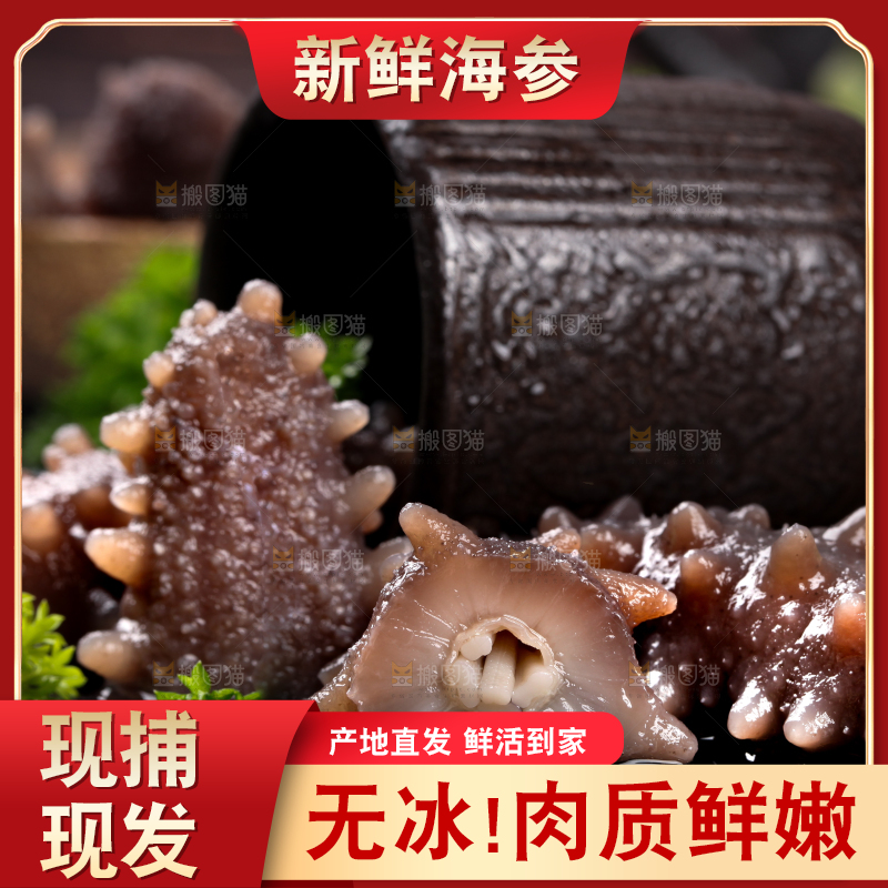 黑底上的海参