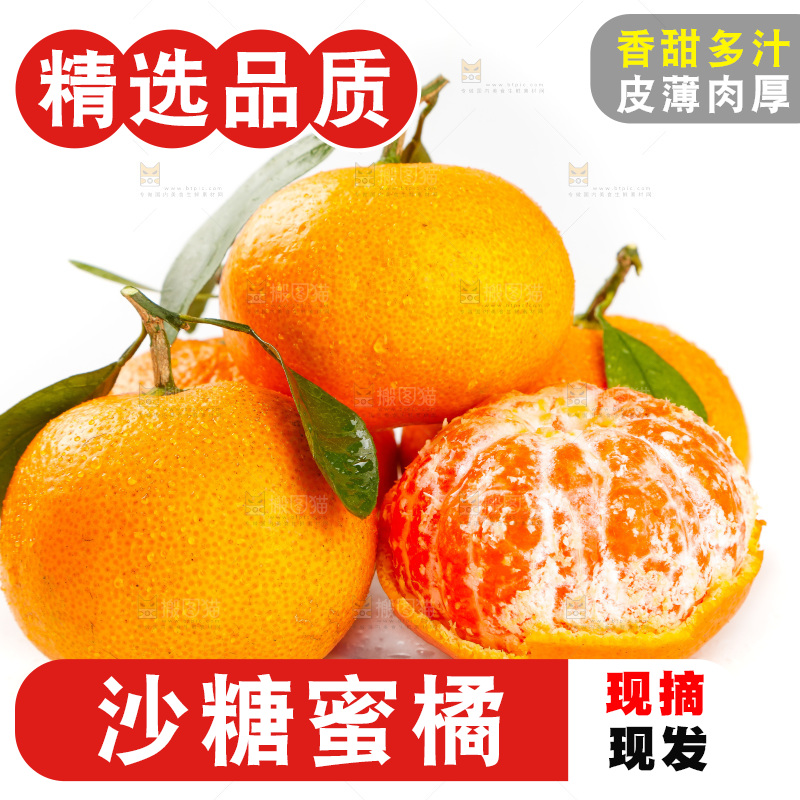 白底上摆放着蜜橘