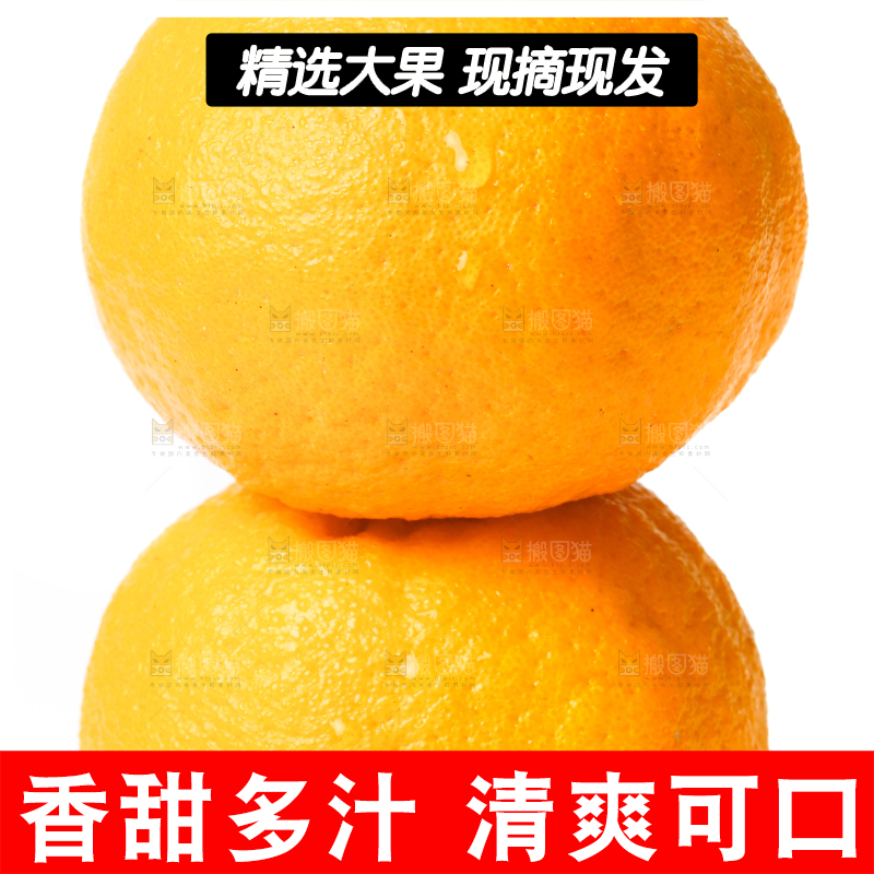 白底上放着芦柑