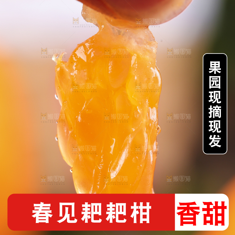 深底上放着四川春见