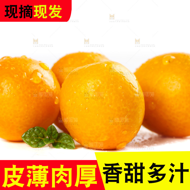 白底上放着小金桔