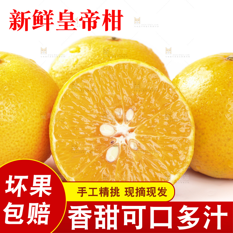 切开的皇帝贡柑放在白底上