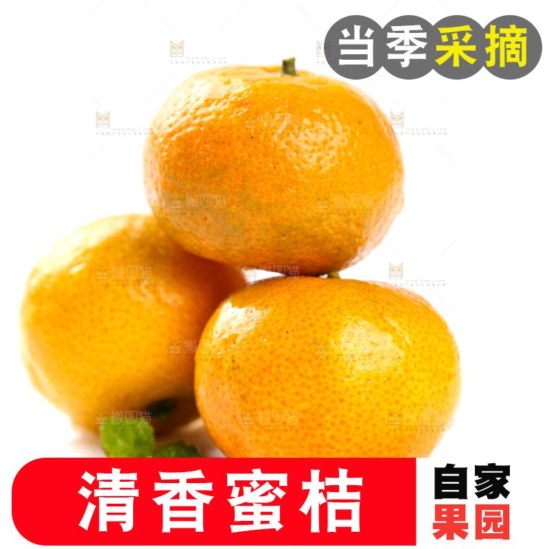 白底上的桂林清香蜜桔