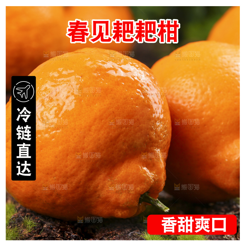 草地上摆放着耙耙柑