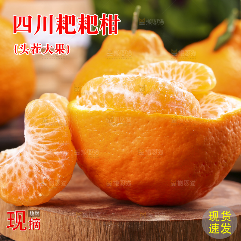 木板上放着春见柑橘