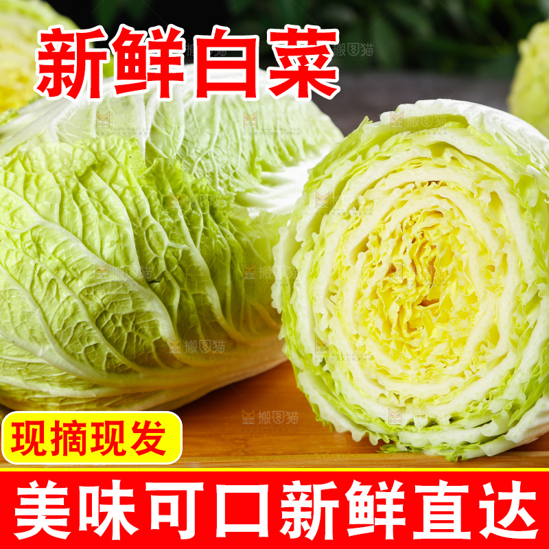 石板上放着一盘切开的山东大白菜