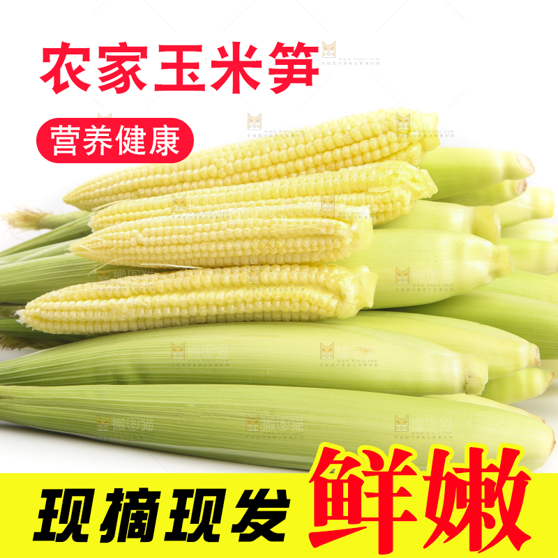 白底上的珍珠笋