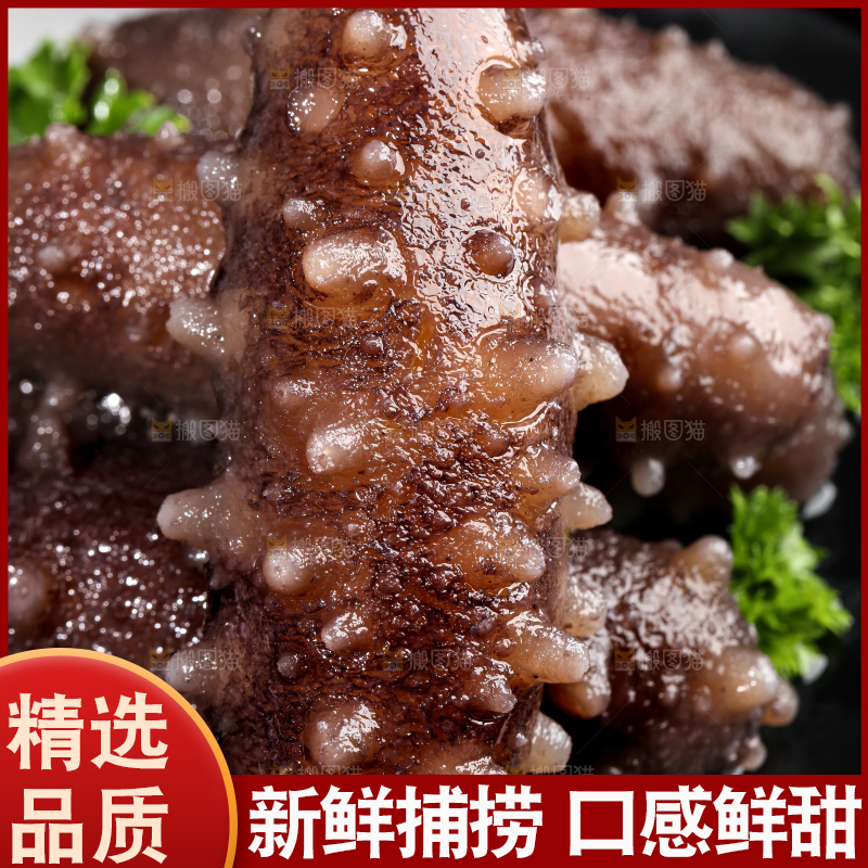 黑底上放着一盘刺参