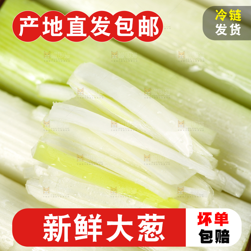 木底上的山东铁杆大葱